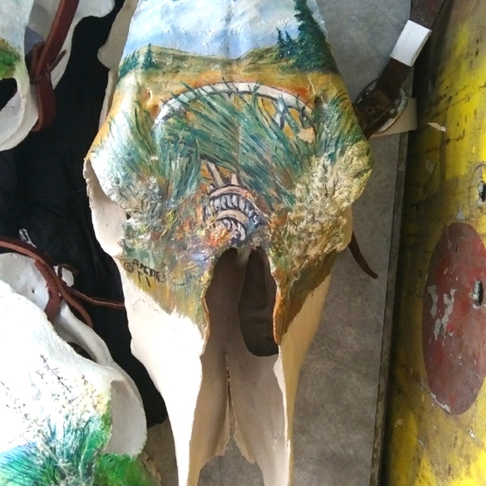 Handpainted cow skull